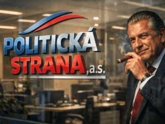 Politická strana jako firma